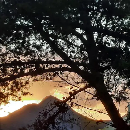 Дом отдыха Quintinha Lombas Порту-Санту