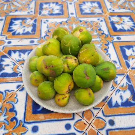 Quintinha Lombas Дом отдыха Порту-Санту