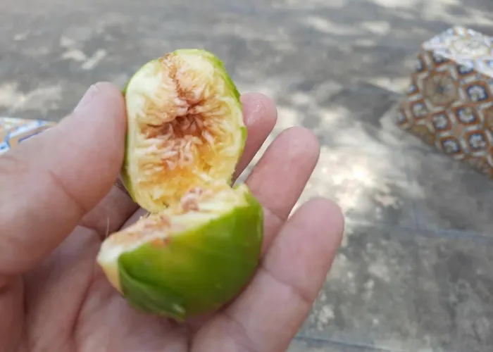 Casa vacanze Quintinha Lombas